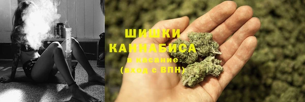 ГАЛЛЮЦИНОГЕННЫЕ ГРИБЫ Тихвин