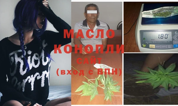 гидра Богородицк