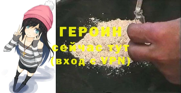 гидра Богородицк
