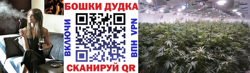 Канабис OG Kush  Старый Оскол 